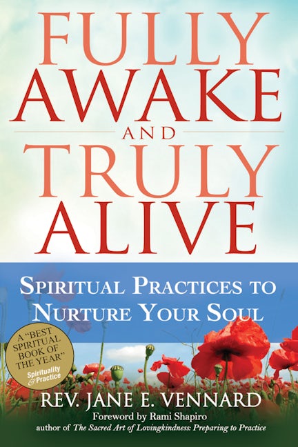Book cover image for Fully Awake and Truly Alive ISBN: 9781594734731